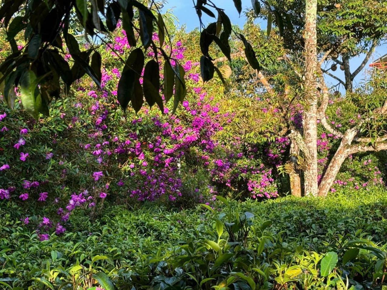 Tea Garden House Vila Bảo Lộc Exterior foto