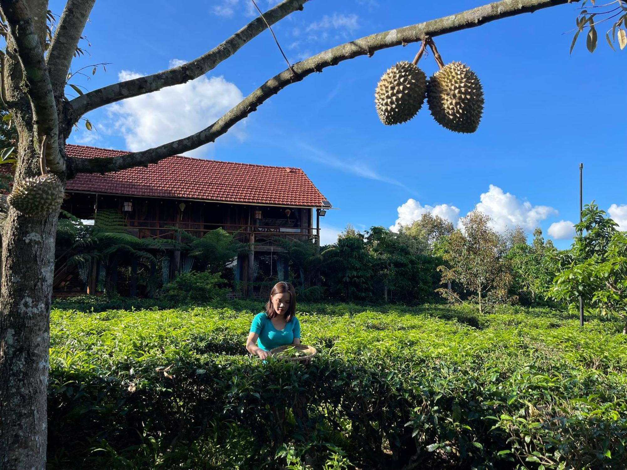 Tea Garden House Vila Bảo Lộc Exterior foto