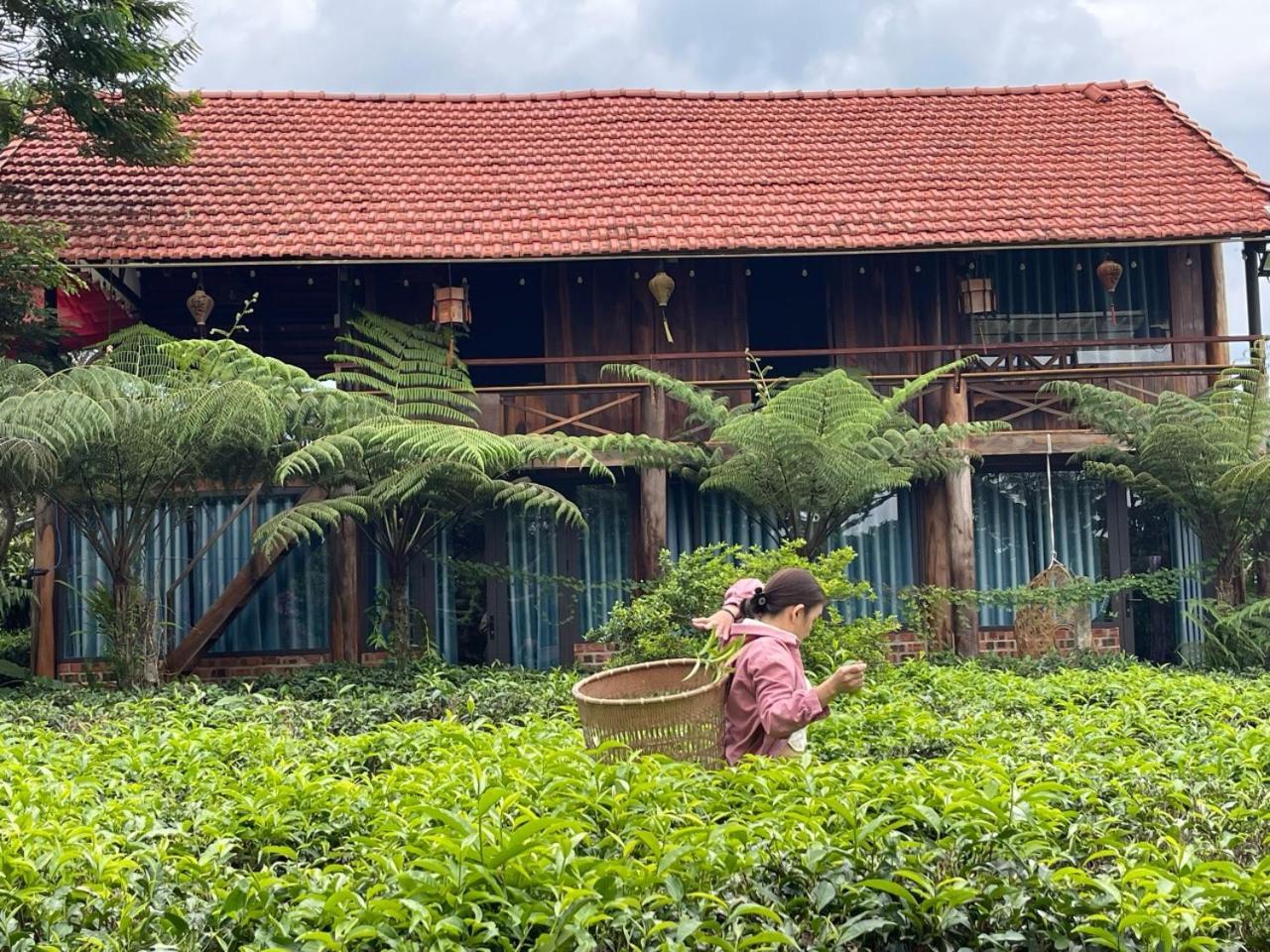 Tea Garden House Vila Bảo Lộc Exterior foto