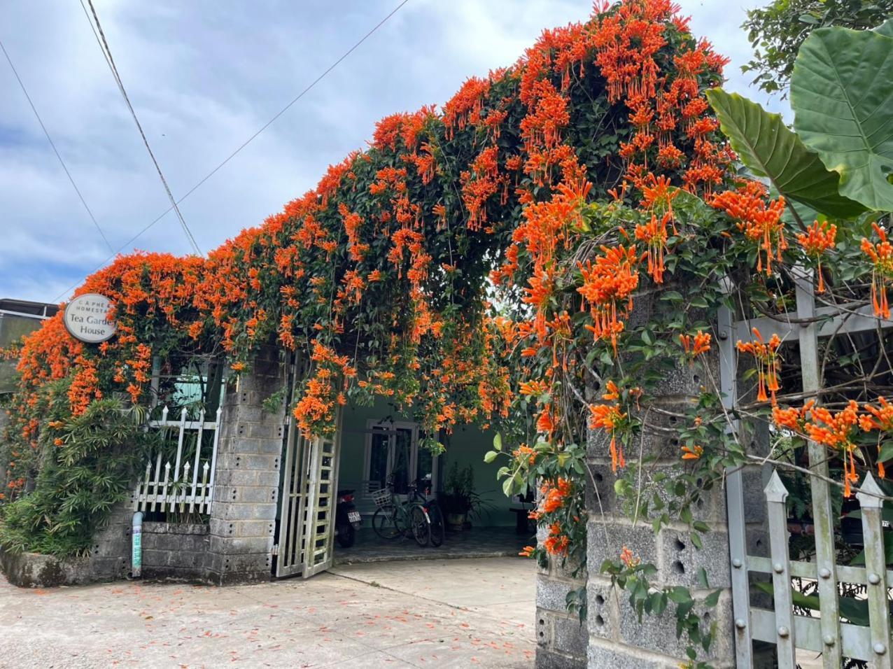 Tea Garden House Vila Bảo Lộc Exterior foto